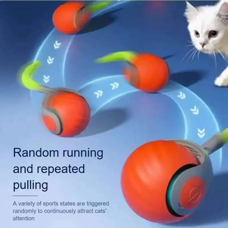 Sniff Joy Smart Rolling Cat Toy – USB Rechargeable Ball with Faux Tail