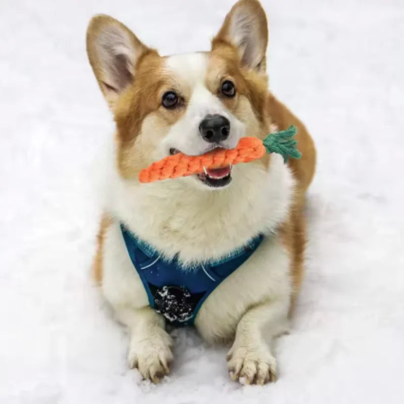 Sniff Joy Woven Carrot Rope Toy – Durable Chew Toy for Puppies