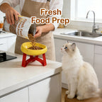 Sniff Joy Anti-Spill Elevated Bowl – High-Leg Cervical Support Dish
