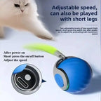 Sniff Joy Smart Rolling Cat Toy – USB Rechargeable Ball with Faux Tail