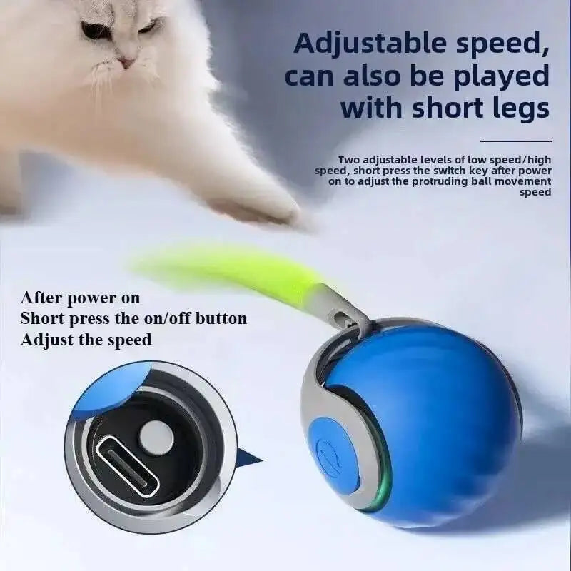 Sniff Joy Smart Rolling Cat Toy – USB Rechargeable Ball with Faux Tail