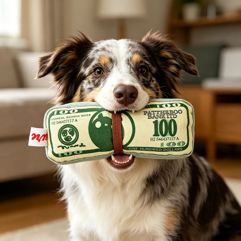 Sniff Joy Crinkle Money Chew Toy – Squeaky Dental Toy