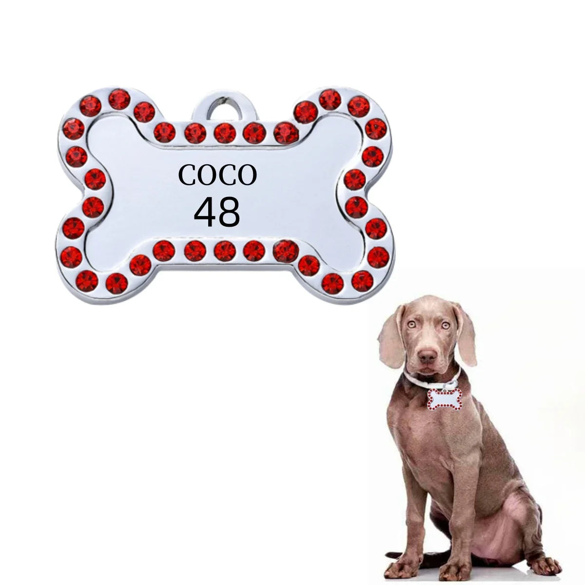 Sniff Joy Custom Engraved Pet ID Tag – Personalized Stainless Steel Nameplate