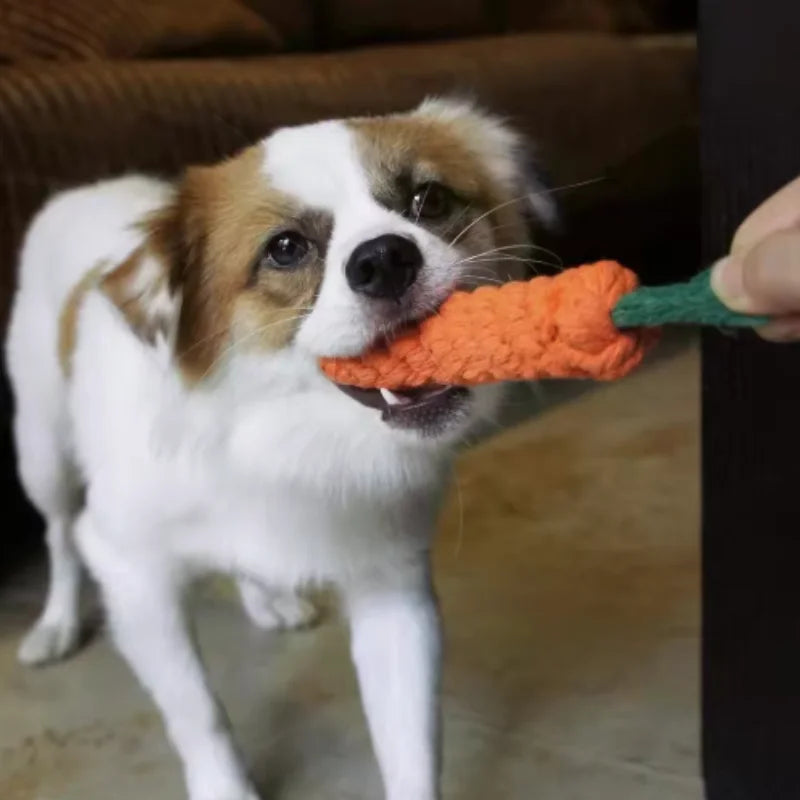 Sniff Joy Woven Carrot Rope Toy – Durable Chew Toy for Puppies