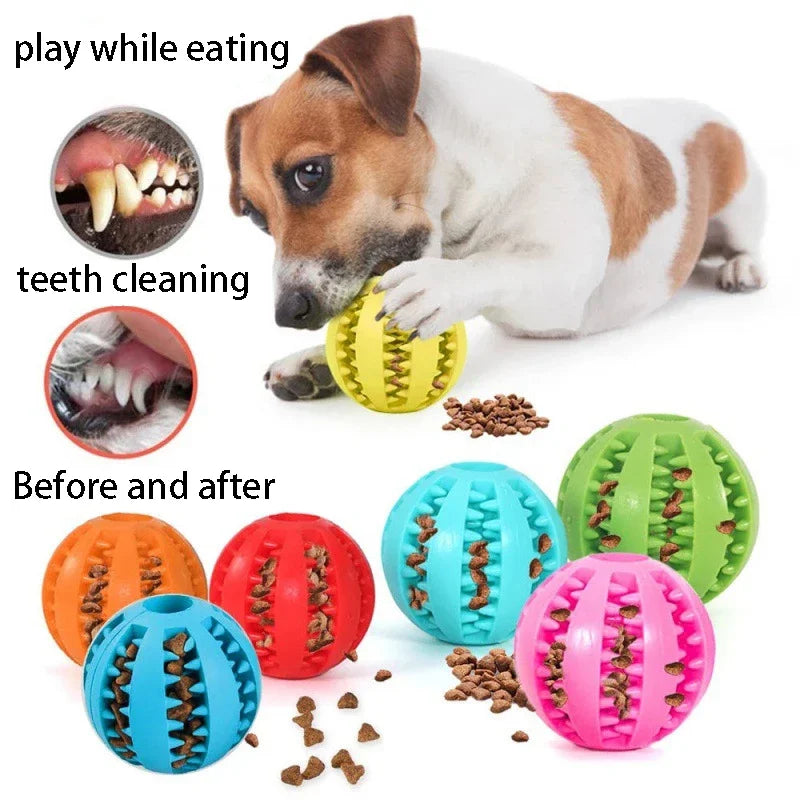 Sniff Joy Treat-Dispensing Chew Ball – Natural Rubber Dental Toy
