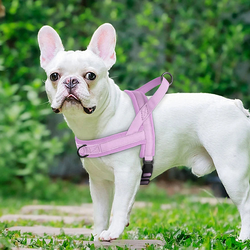 Sniff Joy No-Pull Dog Harness – Soft Padded Adjustable Vest