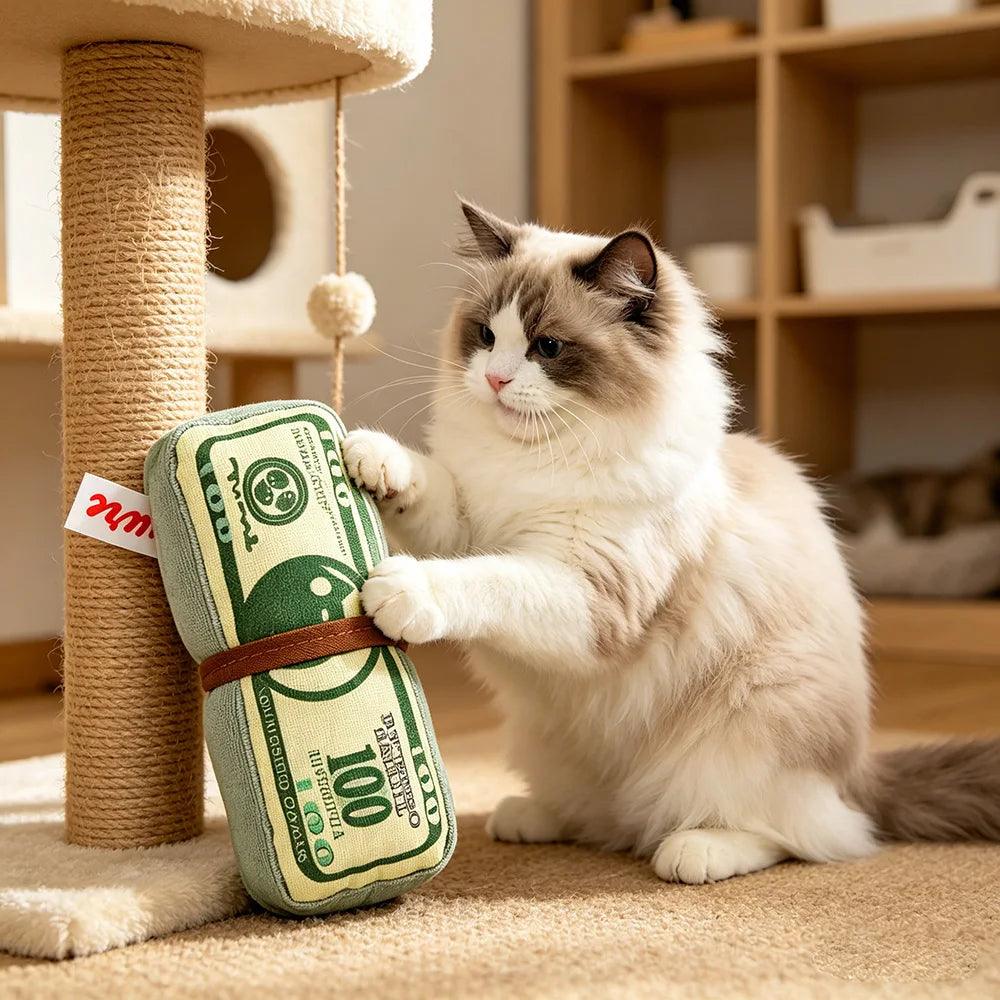 Sniff Joy Crinkle Money Chew Toy – Squeaky Dental Toy