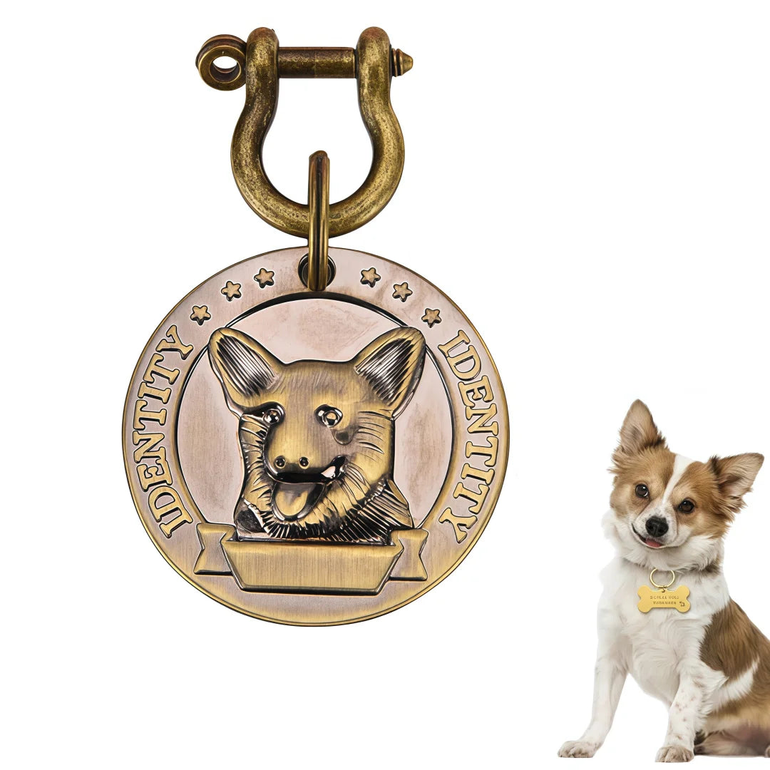 Sniff Joy Custom Engraved Pet ID Tag – Personalized Stainless Steel Nameplate