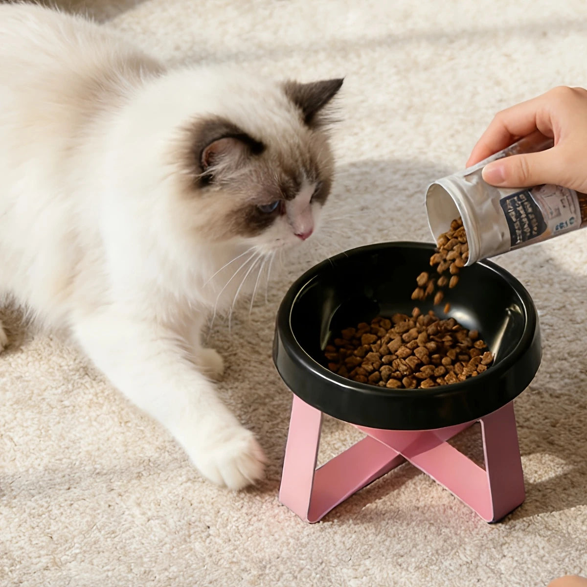 Sniff Joy Anti-Spill Elevated Bowl – High-Leg Cervical Support Dish
