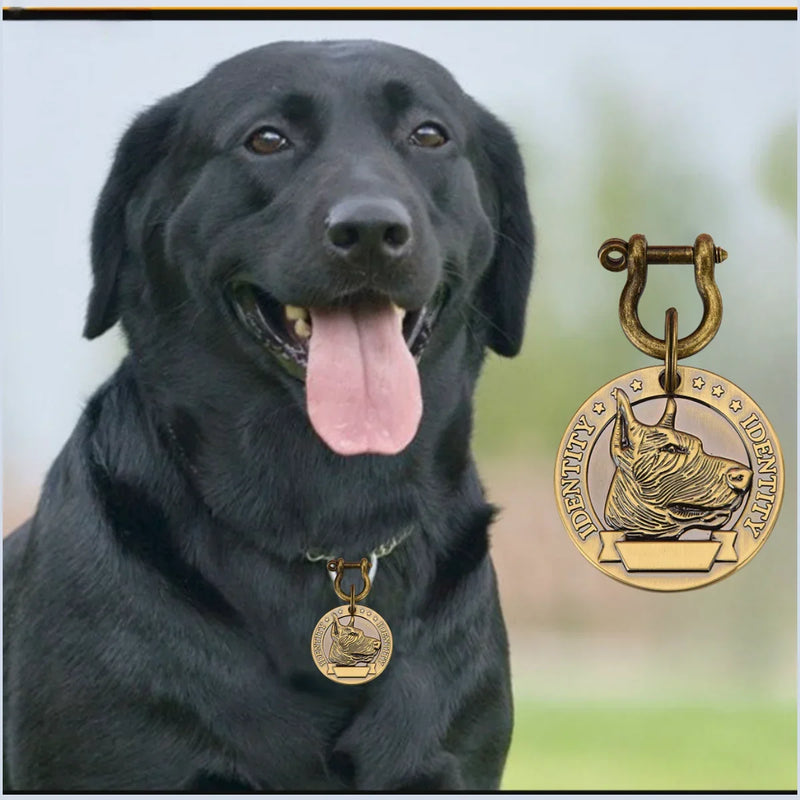 Sniff Joy Custom Engraved Pet ID Tag – Personalized Stainless Steel Nameplate