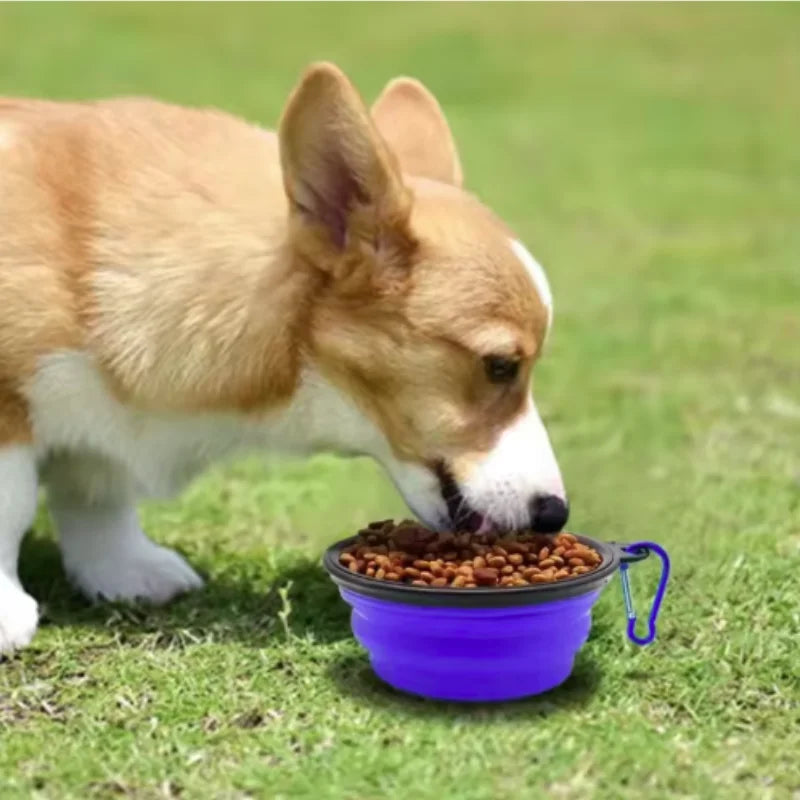 Sniff Joy Collapsible Travel Bowl – Silicone Food & Water Bowl