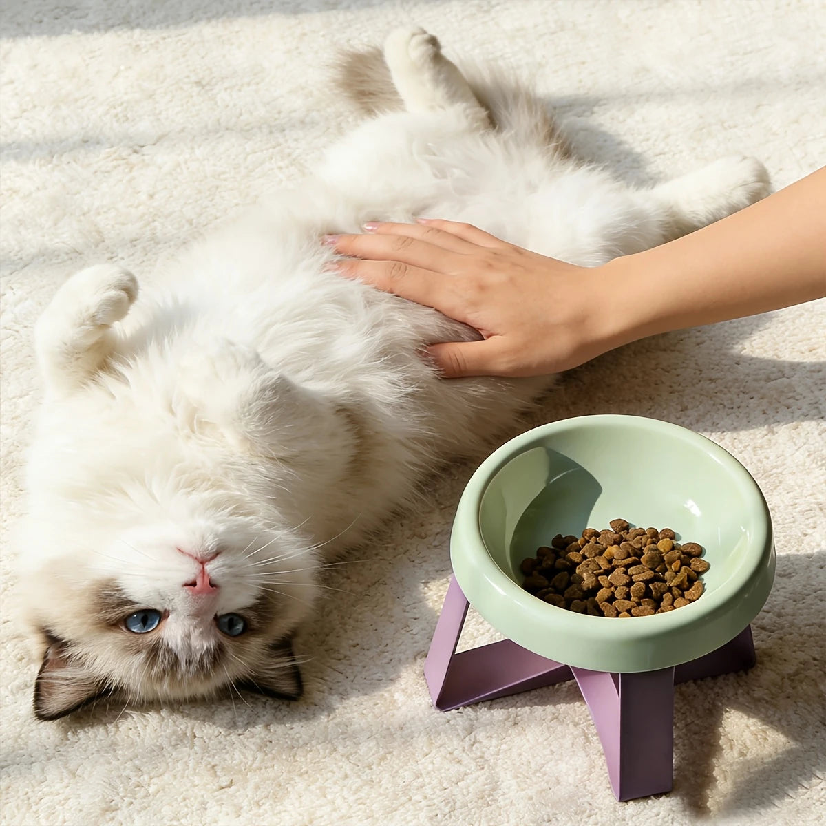 Sniff Joy Anti-Spill Elevated Bowl – High-Leg Cervical Support Dish