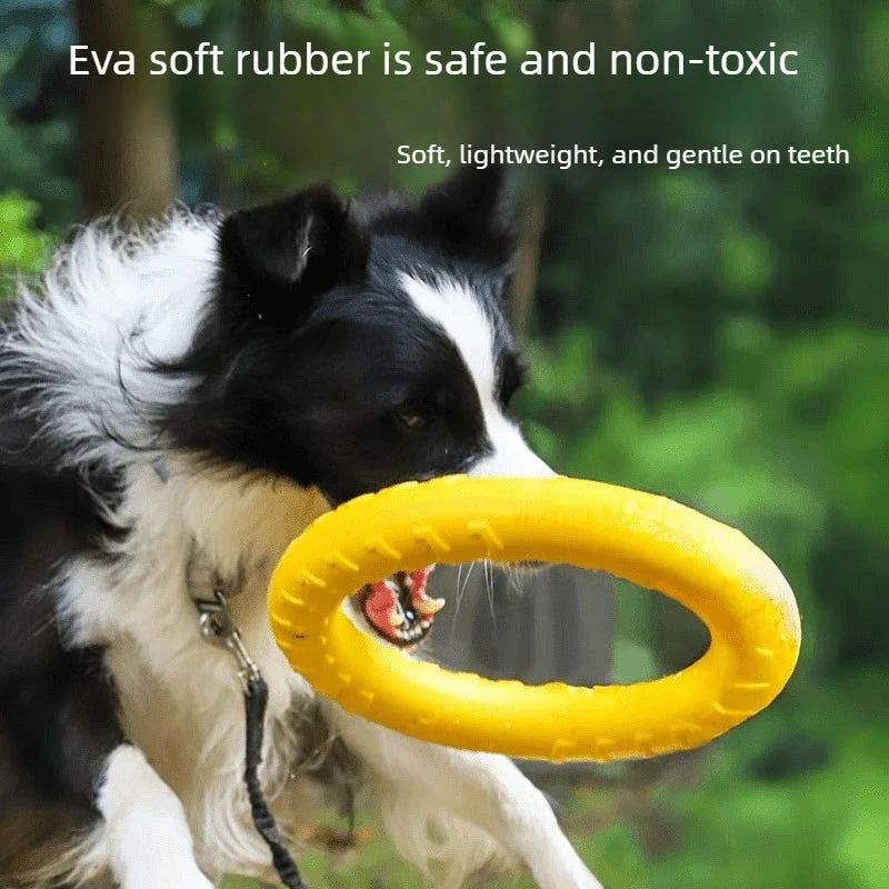 Sniff Joy Indestructible EVA Frisbee – Floating Chew Toy for Dogs
