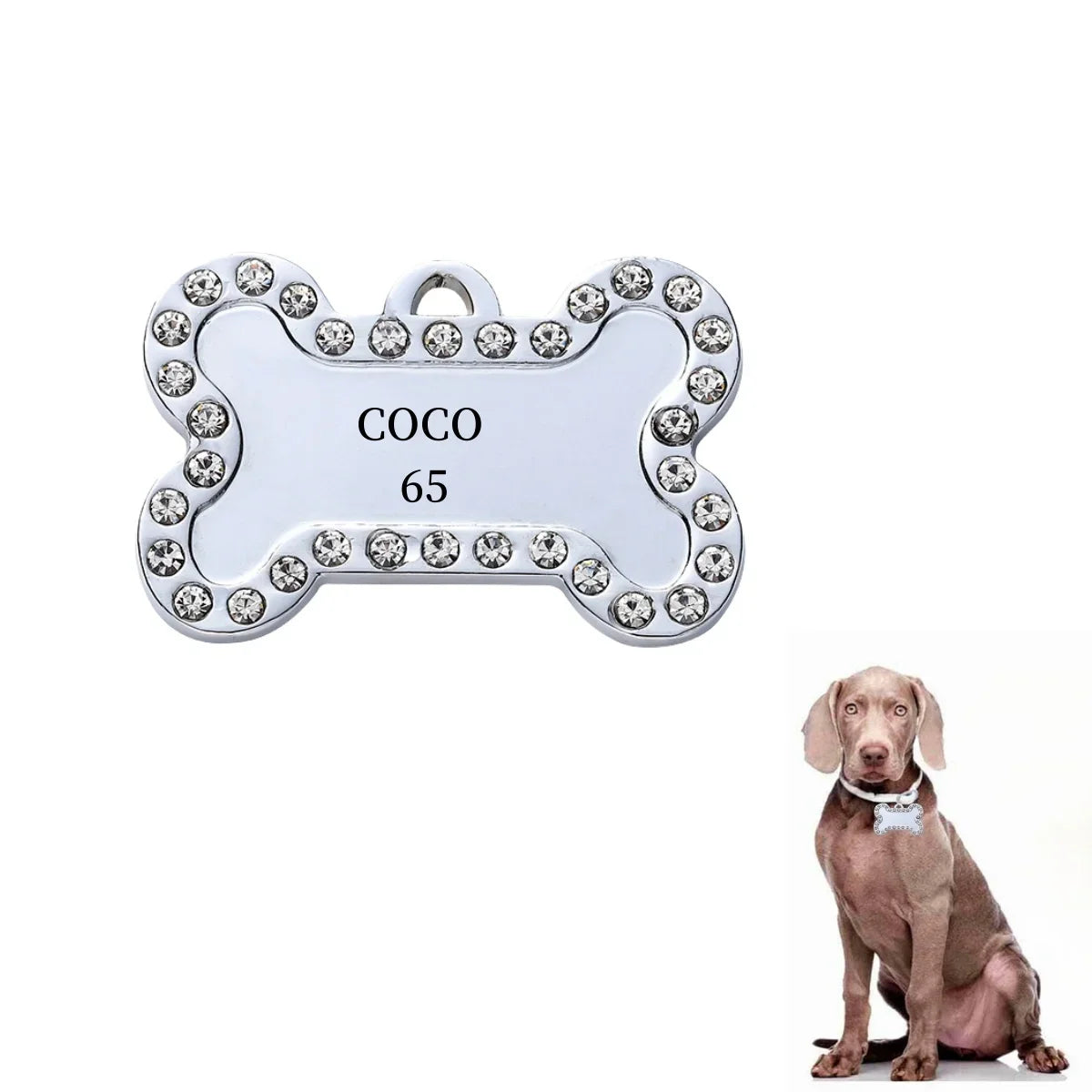 Sniff Joy Custom Engraved Pet ID Tag – Personalized Stainless Steel Nameplate