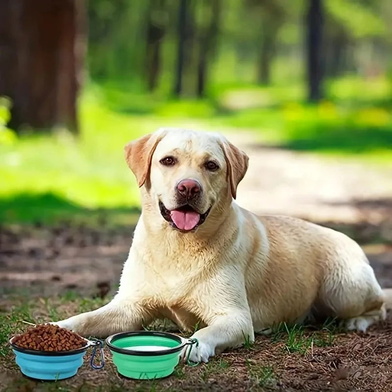 Sniff Joy Collapsible Travel Bowls (2-Pack) – Foldable Dishes with Lids