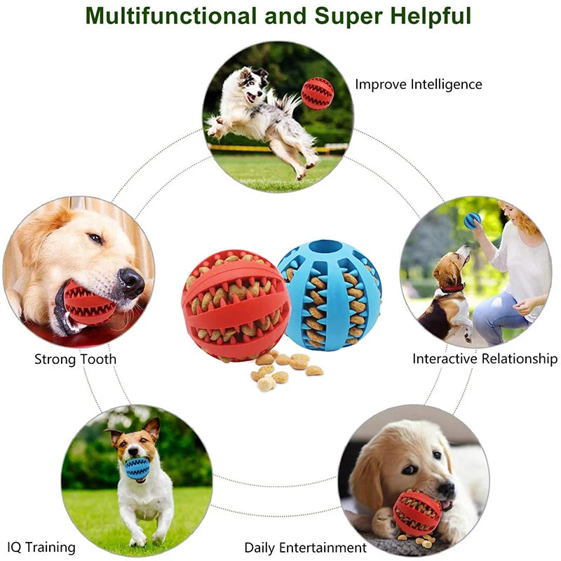 Sniff Joy Treat-Dispensing Chew Ball – Natural Rubber Dental Toy