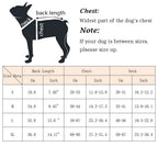 Sniff Joy Reflective Dog Life Jacket – Adjustable Swim Vest