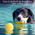Sniff Joy Indestructible EVA Frisbee – Floating Chew Toy for Dogs