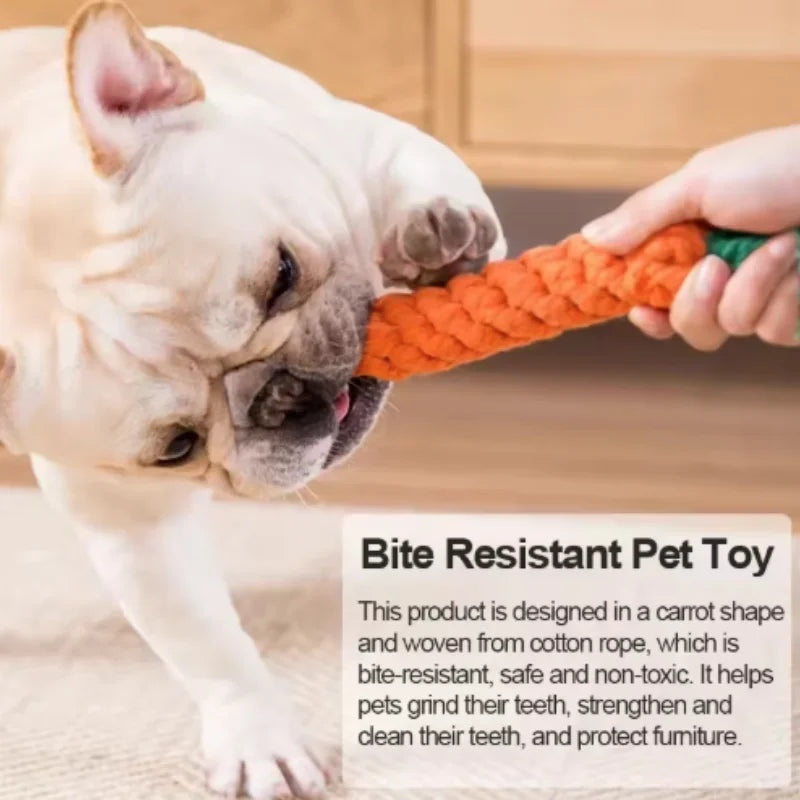 Sniff Joy Woven Carrot Rope Toy – Durable Chew Toy for Puppies