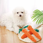Sniff Joy Woven Carrot Rope Toy – Durable Chew Toy for Puppies