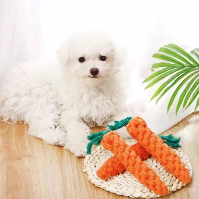 Sniff Joy Woven Carrot Rope Toy – Durable Chew Toy for Puppies
